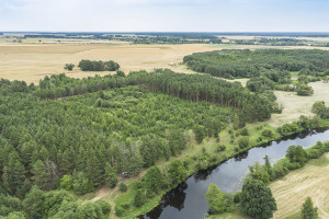Parduodamas  sklypas Mučiūnų k., Panevėžio r. sav., 200 a ploto 6