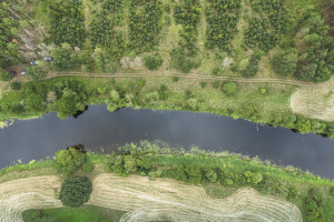 Parduodamas  sklypas Mučiūnų k., Panevėžio r. sav., 200 a ploto 7