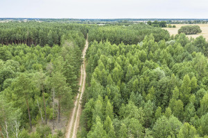 Parduodamas  sklypas Mučiūnų k., Panevėžio r. sav., 200 a ploto 8