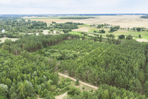 Parduodamas  sklypas Mučiūnų k., Panevėžio r. sav., 200 a ploto 10