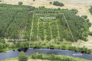 Parduodamas  sklypas Mučiūnų k., Panevėžio r. sav., 200 a ploto 11