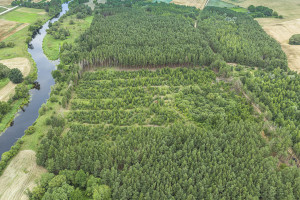 Parduodamas  sklypas Mučiūnų k., Panevėžio r. sav., 200 a ploto 12