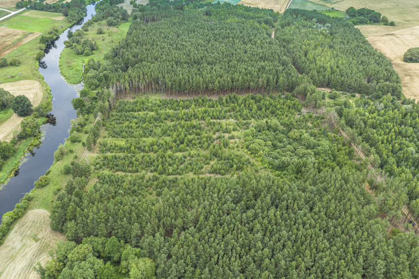 Parduodamas  sklypas Mučiūnų k., Panevėžio r. sav., 200 a ploto 12