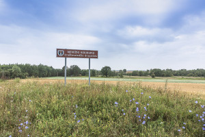 Parduodamas  sklypas Mučiūnų k., Panevėžio r. sav., 200 a ploto 13
