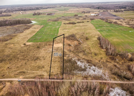 Parduodamas  sklypas Baltenių k., Anykščių r. sav., 85 a ploto