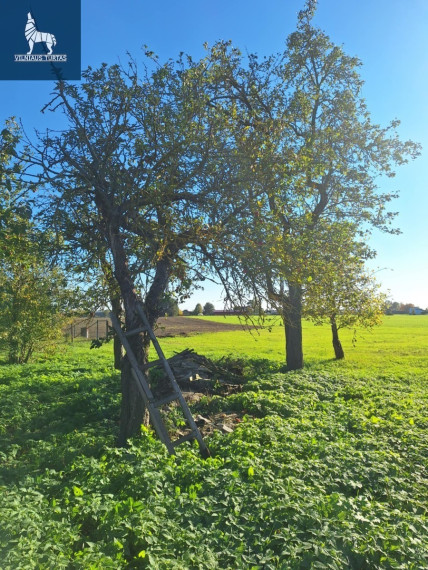 Parduodamas namas Laukų g., Valeravos k., Kauno r. sav., 85 m2 ploto, 2 aukštai 3