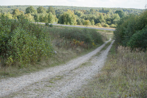 Parduodamas  sklypas Nelydiškių k., Vilniaus r. sav., 1340 a ploto 6