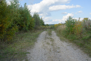 Parduodamas  sklypas Nelydiškių k., Vilniaus r. sav., 1340 a ploto 7
