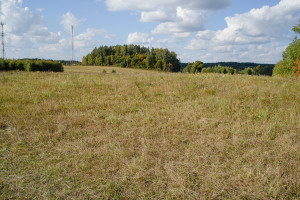 Parduodamas  sklypas Nelydiškių k., Vilniaus r. sav., 1340 a ploto 9