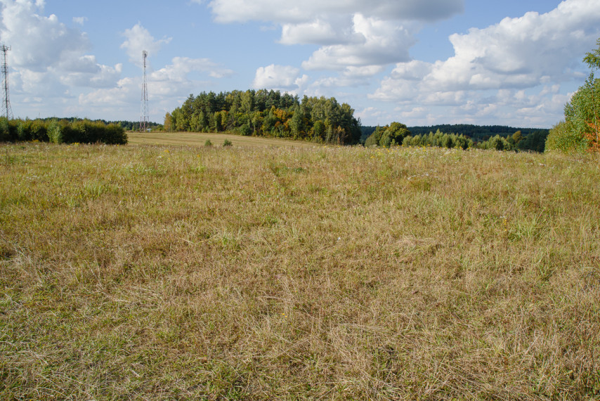 Parduodamas  sklypas Nelydiškių k., Vilniaus r. sav., 1340 a ploto 9
