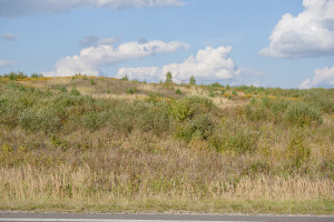 Parduodamas  sklypas Nelydiškių k., Vilniaus r. sav., 1340 a ploto 10
