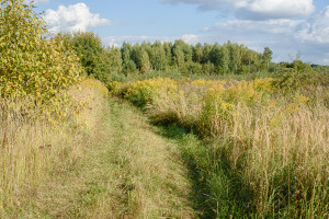 Parduodamas  sklypas Nelydiškių k., Vilniaus r. sav., 1340 a ploto 11