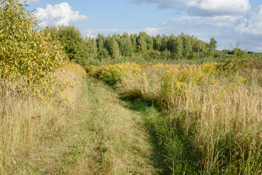 Parduodamas  sklypas Nelydiškių k., Vilniaus r. sav., 1340 a ploto 11