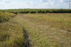 Parduodamas  sklypas Nelydiškių k., Vilniaus r. sav., 1340 a ploto 12