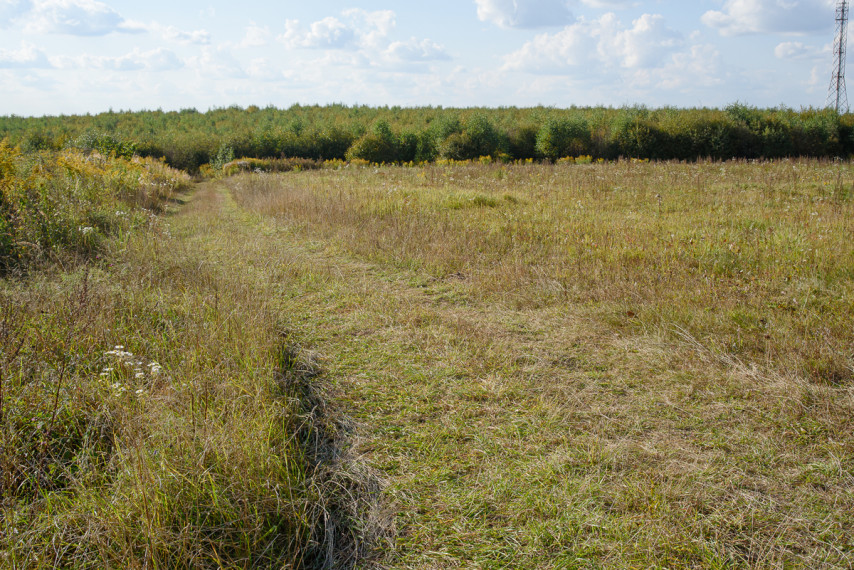 Parduodamas  sklypas Nelydiškių k., Vilniaus r. sav., 1340 a ploto 12