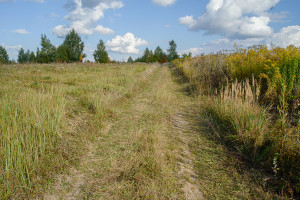 Parduodamas  sklypas Nelydiškių k., Vilniaus r. sav., 1340 a ploto 13