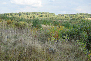 Parduodamas  sklypas Nelydiškių k., Vilniaus r. sav., 1340 a ploto 14