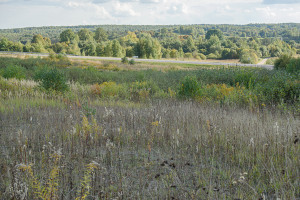 Parduodamas  sklypas Nelydiškių k., Vilniaus r. sav., 1340 a ploto 15