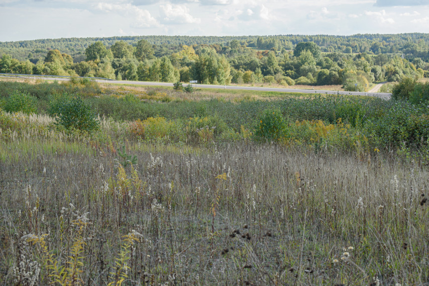 Parduodamas  sklypas Nelydiškių k., Vilniaus r. sav., 1340 a ploto 15