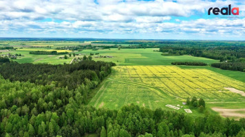 Parduodamas sklypas Kaugonių k., 27 a ploto 12