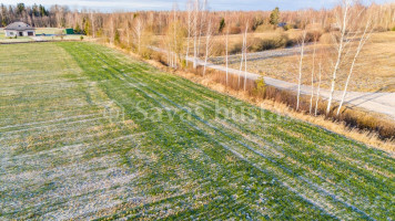 Parduodamas  sklypas Lukšių k., Šiaulių r. sav., 43.5 a ploto 11