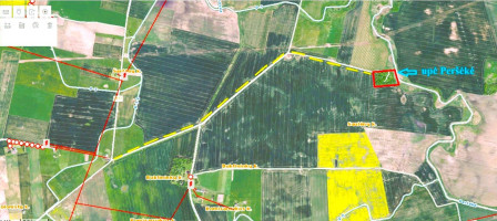 Parduodamas sklypas Saulėnų k., Alytaus r. sav., 172.00 a ploto 13