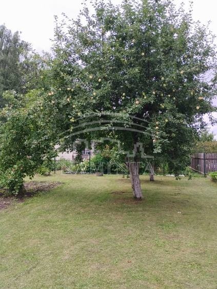 Parduodamas sklypas Dituvos k., Klaipėdos r. sav., 6 a ploto 4