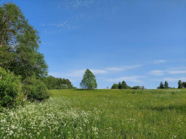 Parduodamas sklypas Zokorių k., Zarasų r. sav., 534 a ploto 11