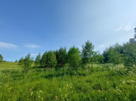 Parduodamas sklypas Zokorių k., Zarasų r. sav., 534 a ploto 10