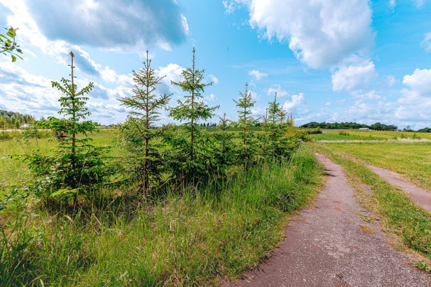 Parduodamas  sklypas Paežerės k., Telšių r. sav., 33.6 a ploto 9