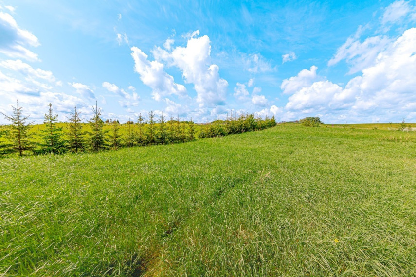 Parduodamas  sklypas Paežerės k., Telšių r. sav., 33.6 a ploto 10