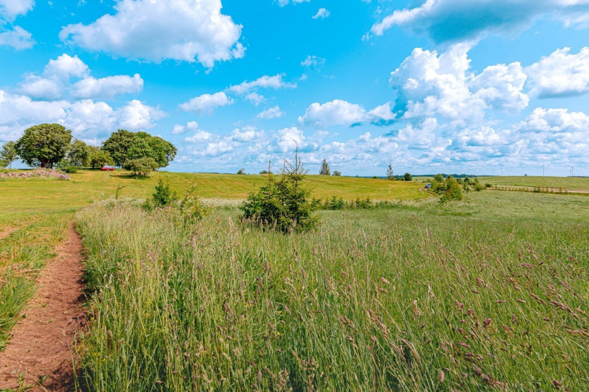 Parduodamas  sklypas Paežerės k., Telšių r. sav., 33.6 a ploto 12