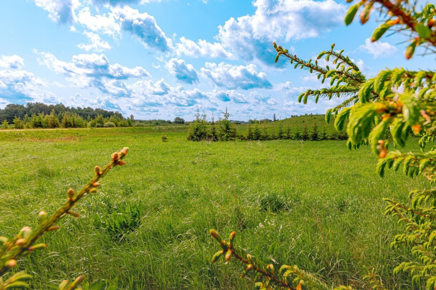 Parduodamas  sklypas Paežerės k., Telšių r. sav., 33.6 a ploto 13