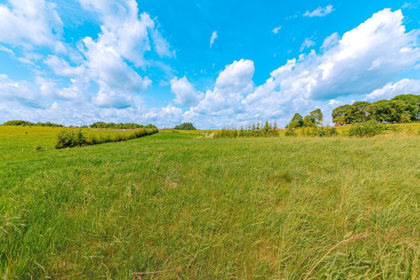 Parduodamas  sklypas Paežerės k., Telšių r. sav., 33.6 a ploto 14