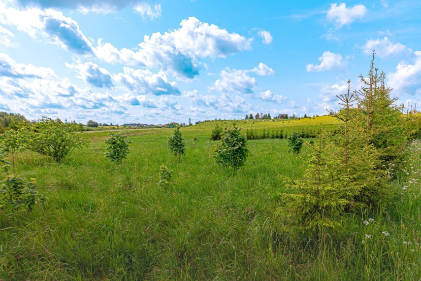 Parduodamas  sklypas Paežerės k., Telšių r. sav., 33.6 a ploto 15