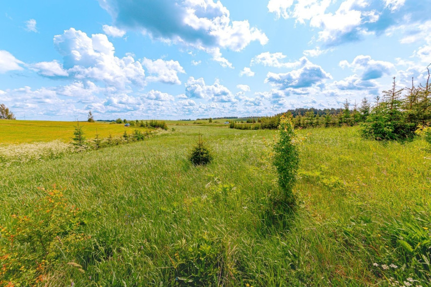 Parduodamas  sklypas Paežerės k., Telšių r. sav., 33.6 a ploto 16