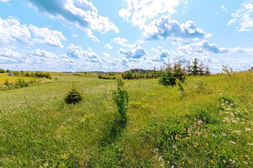 Parduodamas  sklypas Paežerės k., Telšių r. sav., 33.6 a ploto 17