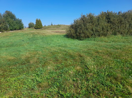 Parduodamas sklypas Jokūbiškių k., Elektrėnų sav., 479 a ploto 1