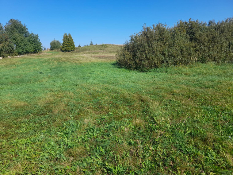 Parduodamas sklypas Jokūbiškių k., Elektrėnų sav., 479 a ploto 1