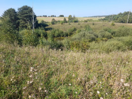Parduodamas sklypas Jokūbiškių k., Elektrėnų sav., 479 a ploto 6