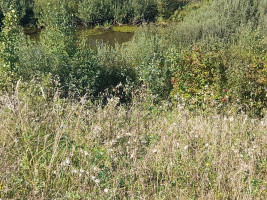 Parduodamas sklypas Jokūbiškių k., Elektrėnų sav., 479 a ploto 7