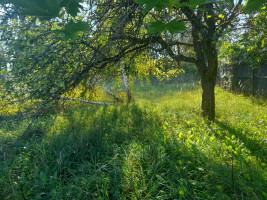 Parduodamas namas Vilniaus g., Rykantų k., Trakų r. sav., 83.85 m² ploto 3 kambariai 6