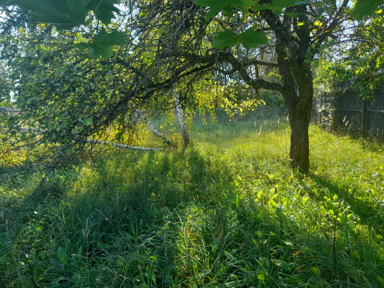 Parduodamas namas Vilniaus g., Rykantų k., Trakų r. sav., 83.85 m² ploto 3 kambariai 6