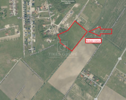 Parduodamas  sklypas Martinų k., Klaipėdos r. sav., 293 a ploto 3