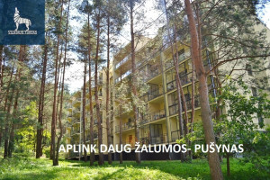 Parduodamas butas Plytinės 29, Antakalnis, Vilniaus m., Vilniaus m. sav., 102.93 m2 ploto, 3 kambariai 33