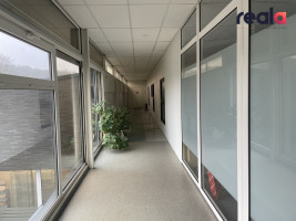 Nuomojamos administracinės patalpos Savanorių pr. 193, Žemuosiuose Paneriuose, Vilniuje, 53 kv.m ploto 10