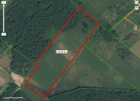 Parduodamas sklypas Visgirdų k., Šiaulių r. sav., 241.34 a ploto