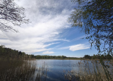 Parduodamas sklypas Kazimieravos k., Molėtų r. sav., 165.00 a ploto