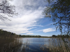 Parduodamas sklypas Kazimieravos k., Molėtų r. sav., 165.00 a ploto 1