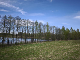 Parduodamas sklypas Kazimieravos k., Molėtų r. sav., 165.00 a ploto 3